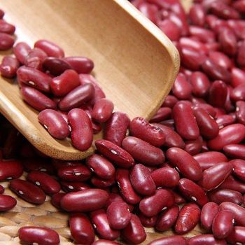 Fast Delivery Organic Red Kidney Beans Premium Grade Provided for Large Scale Orders and Steady Distribution - TRADECENTRIC LLC - United States