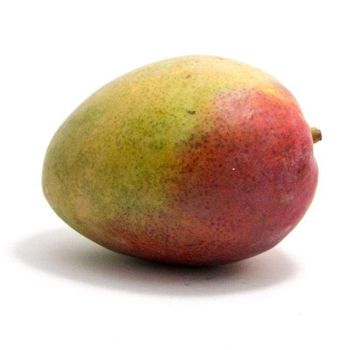 Fresh HADEN MANGOES Export Quality Fresh Tropical Sweet Fruit Wholesale Supplier - TRADECENTRIC LLC - United States