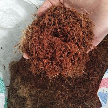 Coco peat - PT. Sadar Makmur Globalindo - Indonesia