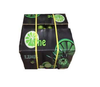 Fresh Lime Seedless fruit from Vietnam fresh lime fresh green lemon seedless CITRUS FRUIT 6kg - WHATSAP LINDA 0084 989 322 607 - Sunrise Ins Group - Vietnam