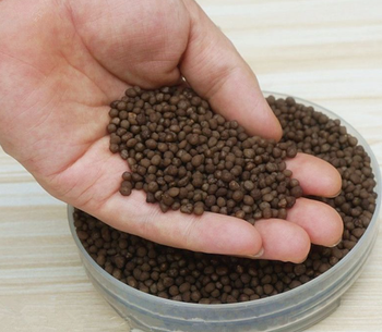 Water Soluble Dap Fertilizer For Broad Acreage Farming With Fast Nutrient Release And Reliable Soil Performance - TOSOH INTERNATIONAL - South Africa