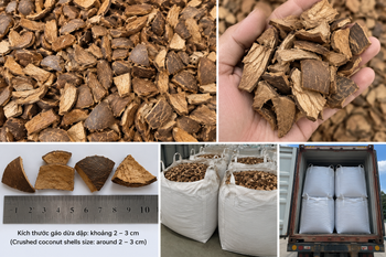 Vietnam Dried Coconut Shell Supplier – Trial Shipment 40HC - Trinh - Vietnam