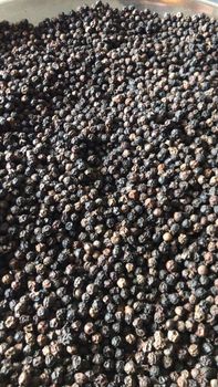 Black pepper from Nusa Agrifarm Black pepper – product photo, Dehydrated Black Pepper products found from trusted suppliers, wholesalers, manufacturers & exporters Listing