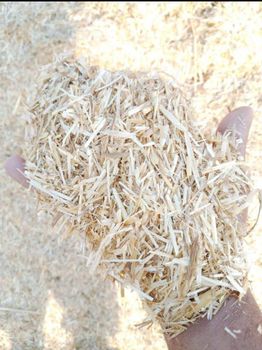 Wheat Straw for Animal Feed