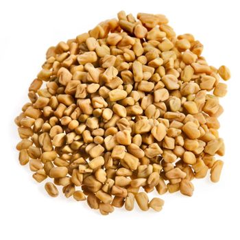 High quality fenugreek seeds bulk supply factory price fast delivery - Mundus Exports Pty Ltd - South Africa
