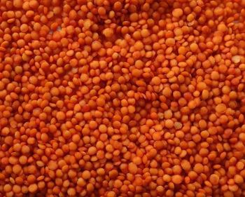 Red Lentils (Football) Color Red Processing Status Cleaned And Ready To Consume - AGROTRAKIA INTERNATIONAL TRADE OOD - Bulgaria