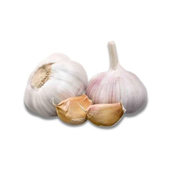 Cheap Wholesale Top Quality Fresh Peeled Garlic In Bulk - HIGHPROFILE AGRICULTURE SERVICES LIMITED - Tanzania