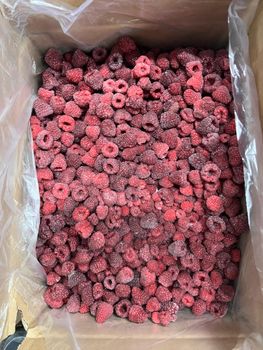 frozen raspberries Color Red Purity 95/5 Form Pitted Texture Frozen Origin Uzbekistan Address Uzbekistan Flavor Profile Sour - Freeze Dried Fruit LTD - Uzbekistan