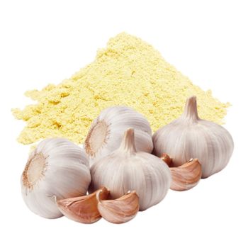 U2U10012-REC Spray Dried Garlic Powder All-Natural Healthy Garlic Powder For Making Spicy Curries, Sauce, Adding Flavour to Food - U2U Systems - Singapore