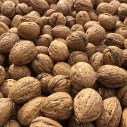 Raw Walnuts for sale  - SAEBYGARD AVLSGARD A/S - Denmark