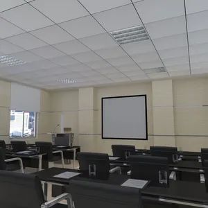Shopping Mall Ceiling Panels Indoor Decoration Gypsum Ceiling 14mm Thickness - Hunan Gyphonwin Building Material Co., Ltd. - China