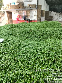All types vegetable and fruts from OCEANLOOP All types vegetable and fruts - OCEANLOOP - India