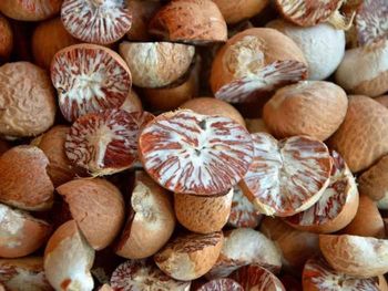 Selected Grade of Betel Nut Supply Brand Quality Product From Thailand Manufacture Export Large Market - AL JABLI TRADING COMPANY LIMITED - Tanzania