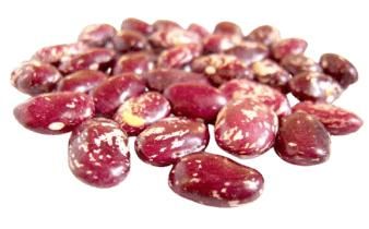 Red variegated polished beans - SULTAN AGRO IMPEKS - Uzbekistan