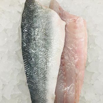 Frozen Sea Bass Fish Carefully Handled Seafood Offering Excellent Moisture Balance And Attractive Market Presentation - TOSOH INTERNATIONAL - South Africa
