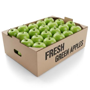 Fresh Green Apples Export Ready Selection Featuring Crisp Flesh Balanced Sweetness And Reliable Year Round Availability - TOSOH INTERNATIONAL - South Africa