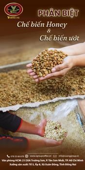 Robusta Coffee – product photo, Main Products