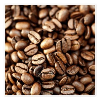 Arabica Coffee Bean Carefully Selected From High Altitude Farms With Smooth Flavor Profile For Bulk Export Demand - TOSOH INTERNATIONAL - South Africa