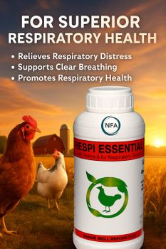 RESPI ESSENTIAL Form Liquid Shelf Life 24 Months, 24 months Ingredients Vitamin A, Essential Oils Target Species Broilers, Layers, Breeders, Chicks - NFA Pharma Co - Turkey