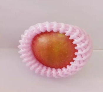 EPE Foam Papaya Net Mesh Bags for Fruit Packaging Protective & Cushioning Material - Laizhou Guoliang Packing Products Co., Ltd. - China
