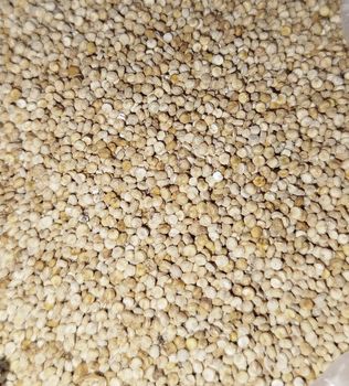 Raw Quinoa - Nill - Pakistan