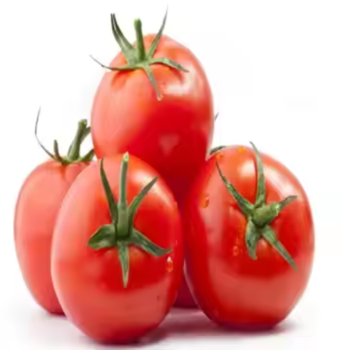 Fresh Tomato Grade A Brix Level 4–6% Storage Temperature 8–12°c Packaging 5kg / 10kg Cartons, box Varieties Roma (plum), Round Tomato - TRADE NEPAL LLC - United States