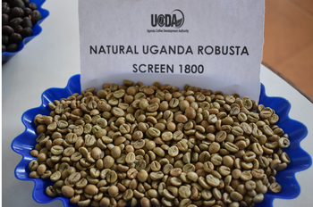 Coffee Beans – product photo, Ethiopian Coffee Beans products found from trusted suppliers, wholesalers, manufacturers & exporters Listing