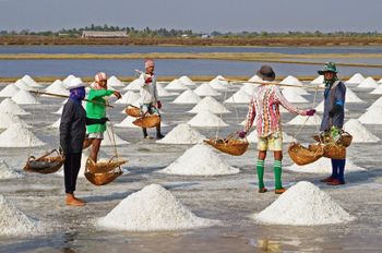 Sea Salt Salt Types Edible Salt, Industrial Salt, Iodized Salt, Customized - Jeya Sakthi Personal Care Private Limited - India