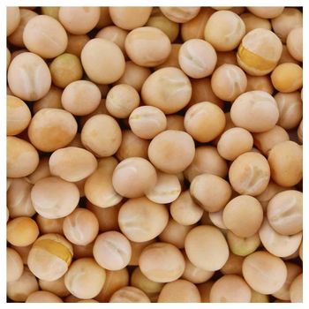 High Quality White Peas For Wholesale Agricultural Sourcing Export Packaging And Long Term Import Demand - TOSOH INTERNATIONAL - South Africa