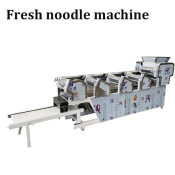 Automatic Large Fresh Noodle Making Machine Grain Product Making Machines - Xingtai Baotai Machinery Manufacturing Co., Ltd - China