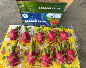 Fresh Dragon fruit - Unity Import Export Jsc - Vietnam
