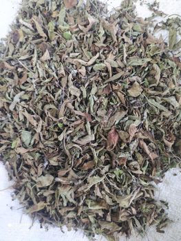 Dried Vana Tulsi Leaf Lemon Basil Grade FOOD Color GREEN Packaging HDPE Digestive Aid Yes Max. Moisture (%) 8% Shelf Life 24 MONTHS - ADEPT IMPEX PVT LTD - India