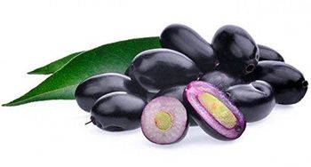 Blackberry (Jamun) - AGROCARTE EXIM ENTERPRISES PVT LTD - India
