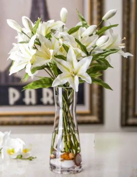 Qcy Factory Direct Sale Customized Acrylic Clear Vase - Shenzhen Juxin Exhibition Products Technology Co., Ltd. - China
