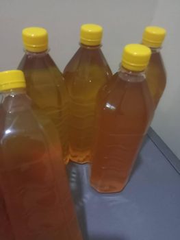 Used Cooking Oil (UCO) - BF GLOBAL TRADING (PTY) LTD - South Africa