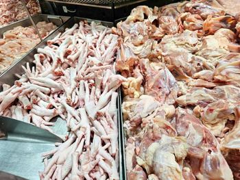 Frozen Chicken Products Paws, feet, mjw, whole and others– Direct Manufacturer & Global Exporter | Grade A Quality | Worldwide Shipping - NORDIC CONSULTING & TRADING LIMITED - Portugal