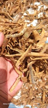 Ceylon Cinnamon Natural Bark Pieces Hand-Picked Single Origin Madagascar 100% Natural Premium Uncraped - DUREL PRODUCTS  - Madagascar