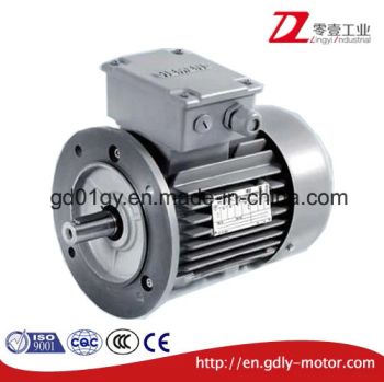 Innomotics Siemens High-Efficiency 3-Phase Low-Voltage Induction Cast Iron AC Motors - Guangdong Lingyi Industrial Technology Co., Ltd. - China
