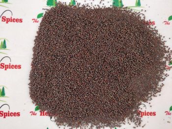 Black Mustard Seeds - Sinhal Herbs  - India