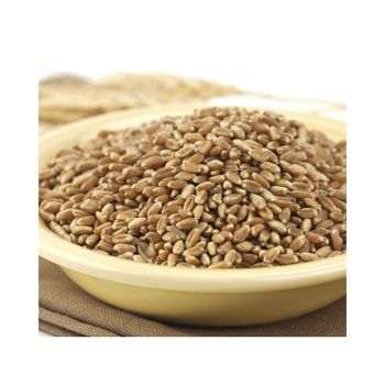 Bulk Organic Wheat Grain With Superior Wheat Content And Natural Goodness For Export - THE GREEN INTERNATIONAL LIMITED - Tanzania