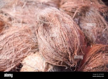 Dehusked coconut - partha - India