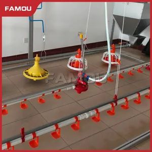 Poultry Equipment Meat Chicken Broiler Floor Rearing System with Feeder Pan - Qingdao Famou Machinery Co., Ltd. - China