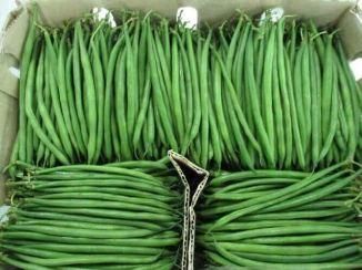 French beans - Oceanwide - Kenya
