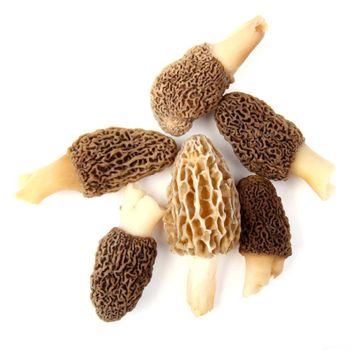 Dried Mushrooms morille Wild Morel Mushroom black Morchella Size 5-7cm Style Dried Color Brown Type Morchella Brand Name - Qinghai Kekexili Health Food Co, Ltd. - China