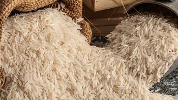 1121 BASMATI RICE from SMART SERVICES 1121 BASMATI RICE – product photo, Broken Basmati Rice products found from trusted suppliers, wholesalers, manufacturers & exporters Listing