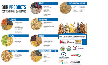 Canadian Red Split Lentils - Allthatnet - South Korea