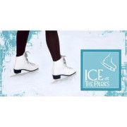 Product - Ice At The Parks - United States