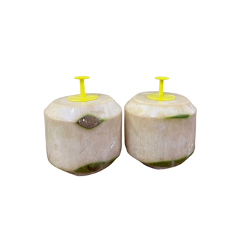 Perfume Nam Hom Variety Coconut with Easy Opener Best Seller Premium Quality Fresh from Thailand Organic Sweet Semi Green Husk from MAHAKOON TRADING 789 CO.,LTD. Perfume Nam Hom Variety Coconut with Easy Opener Best Seller Premium Quality Fresh from Thailand Organic Sweet Semi Green Husk - MAHAKOON TRADING 789 CO.,LTD. - Thailand