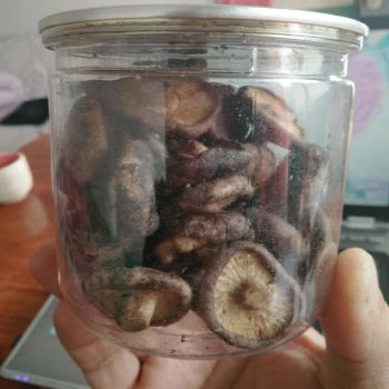 Wholesale High Quality Shiitake Mushroom Crisps - Shanxi Fret International Trade Co., Ltd - China
