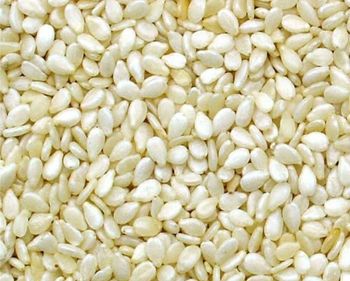 Premium New Crop Natural White Sesame Seeds (99% Purity - DAN KATSALLE GLOBAL SERVICES - Nigeria